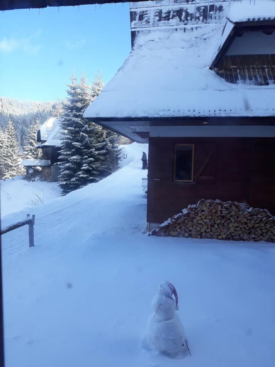 Holiday Home Elena Kopaonik Buitenkant foto